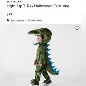 Pottery Barn Kids Light-Up T-Rex Halloween Costume in 2T. EUC.